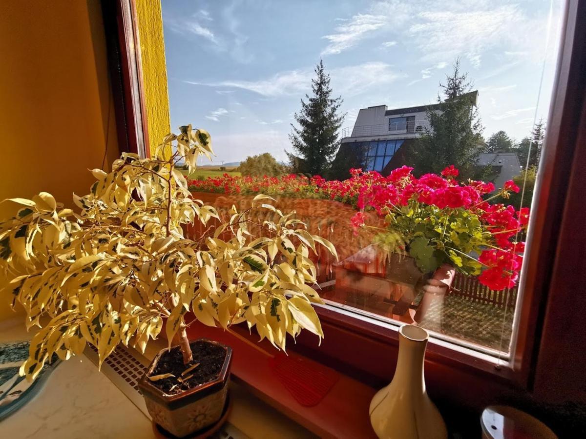 Apartman Adrianka Turčianske Teplice Buitenkant foto